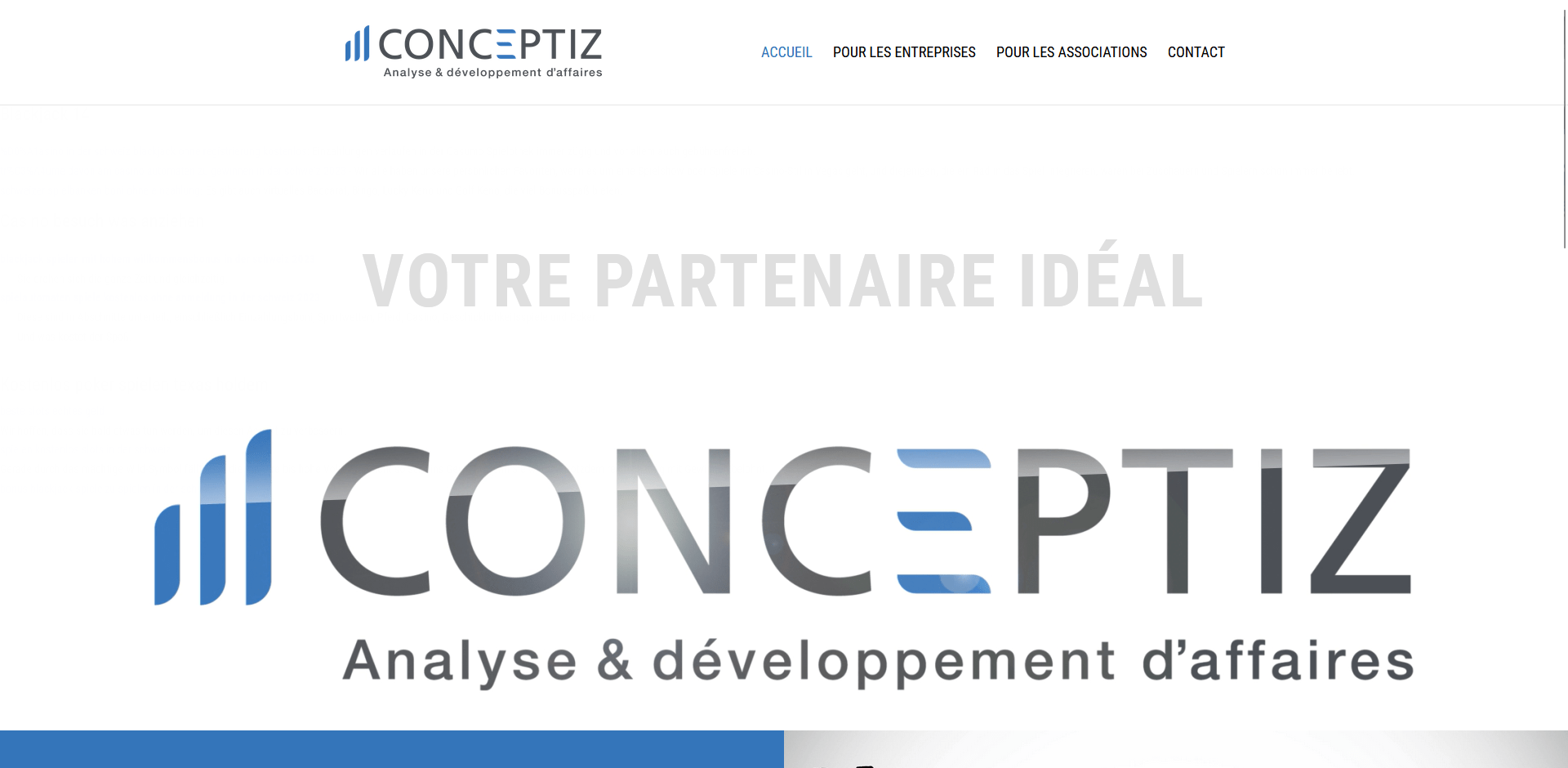 realisation-altin-web (6)